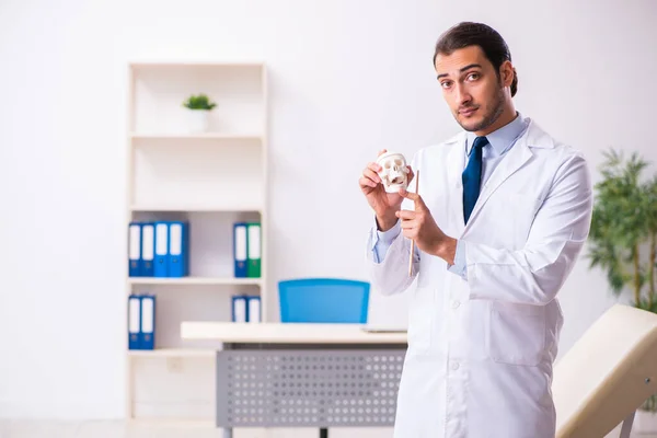 Young male doctor holding skull