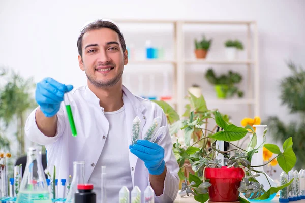 Jeune chimiste masculin travaillant dans le laboratoire — Photo