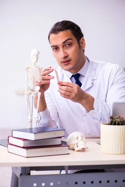 Jovem médico do sexo masculino estudando esqueleto humano — Fotografia de Stock