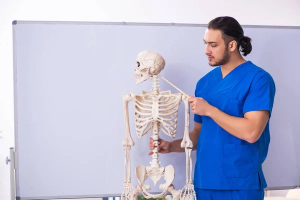 Junger männlicher Dozent mit Skelett vor Whiteboard — Stockfoto