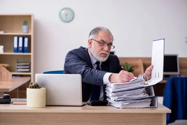 Ancien employé masculin travaillant dans le bureau — Photo