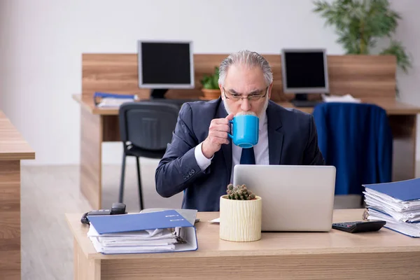 Ancien employé masculin travaillant dans le bureau — Photo