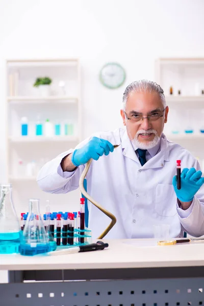 Alter Chemiker mit Schlange im Wissenschaftslabor — Stockfoto