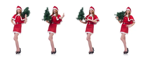 Giovane donna in costume da Babbo Natale rosso su bianco — Foto Stock