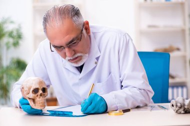 Laboratuvarda çalışan yaşlı bir antropolog.