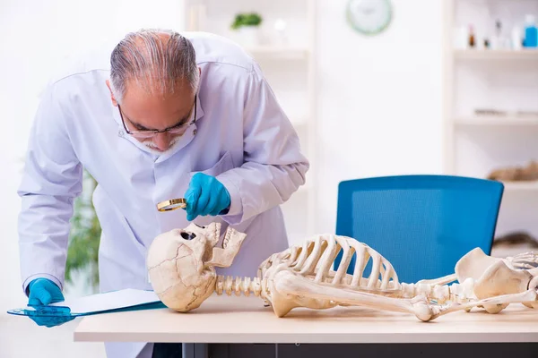 Antigo antropólogo sénior a trabalhar no laboratório — Fotografia de Stock