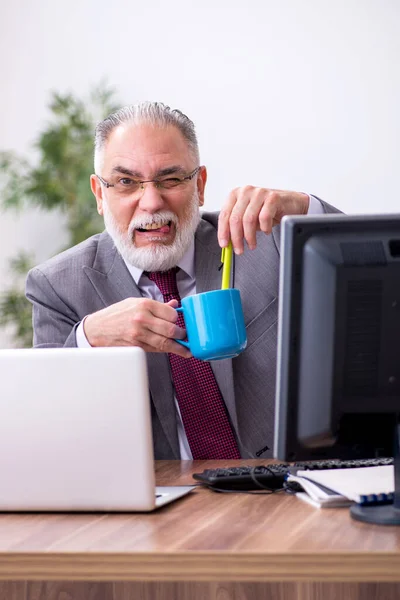 Old male boss sitting at desktop in the office — Stock Photo, Image