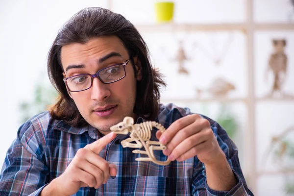 Mladý muž učitel paleontolog ve třídě — Stock fotografie