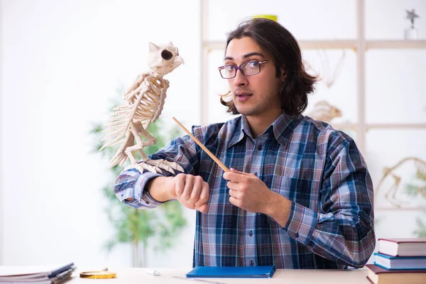 Joven paleontólogo docente en el aula — Foto de Stock