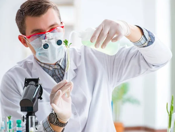 Männlicher Biochemiker arbeitet im Labor an Pflanzen — Stockfoto