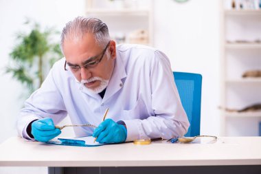 Laboratuvarda çalışan eski bir arkeolog.