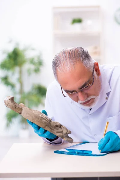 Senior-Archäologe studiert altägyptische Steinmetzarbeit — Stockfoto