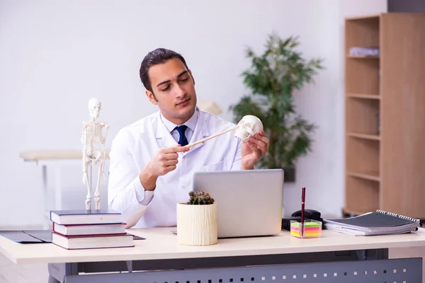 Young male doctor studying human skeleton — Stock Photo, Image