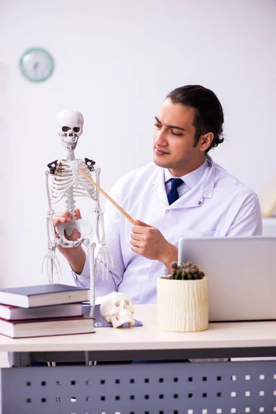 Jovem médico do sexo masculino estudando esqueleto humano — Fotografia de Stock