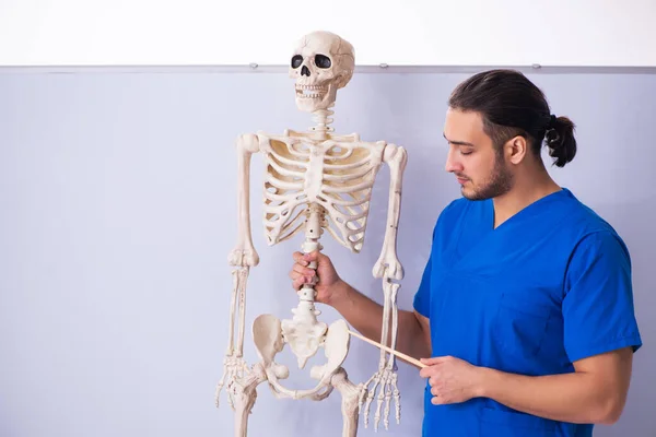 Jovem palestrante masculino com esqueleto na frente do quadro branco — Fotografia de Stock