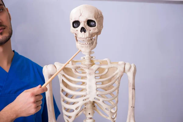 Jonge mannelijke docent met skelet voor whiteboard — Stockfoto