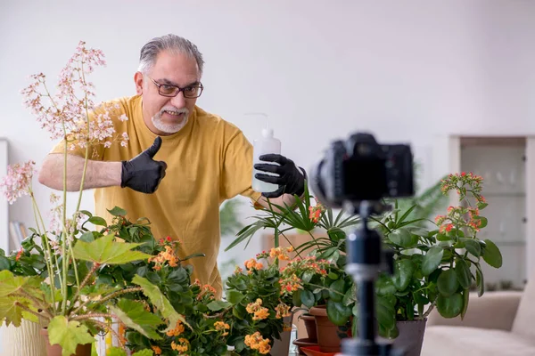 Starý zahradník s rostlinami uvnitř — Stock fotografie