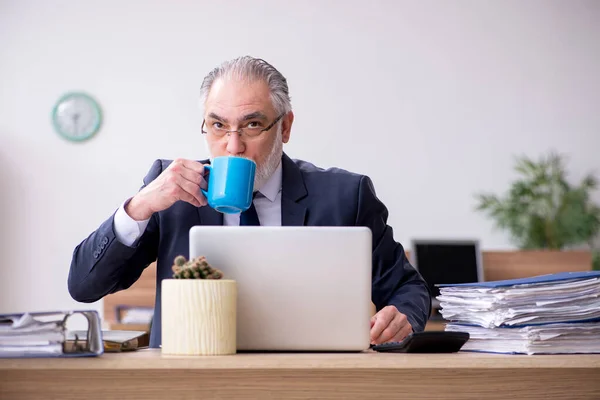 Oude mannelijke werknemer die op kantoor werkt — Stockfoto