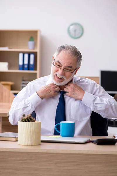 Alt männlich mitarbeiter working im die büro — Stockfoto