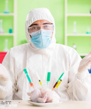 Laboratuvar asistanı GDO tavuğunu test ediyor