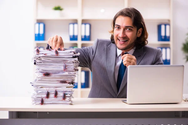 Jeune employé masculin et trop de cafards au bureau — Photo