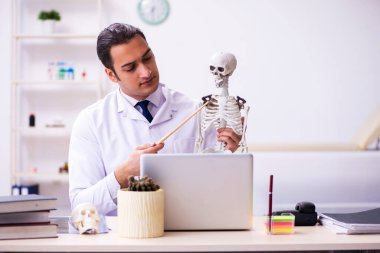 Genç erkek doktor insan iskeleti üzerinde çalışıyor.