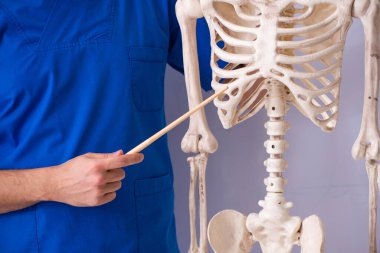 İskeleti beyaz tahtanın önünde olan genç bir erkek öğretim görevlisi.