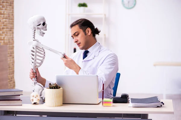 Jonge mannelijke arts die menselijk skelet bestudeert — Stockfoto