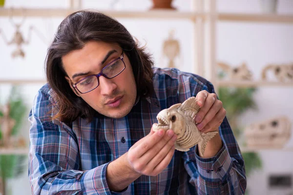 Jonge mannelijke leraar paleontoloog in de klas — Stockfoto