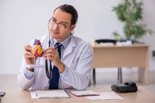 Ung manlig läkare kardiolog lyssnar hjärta modell med stetho — Stockfoto