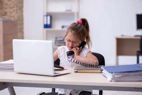 Grappig klein meisje accountant werken in het kantoor — Stockfoto