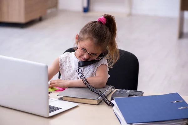 Contabilista engraçado menina trabalhando no escritório — Fotografia de Stock