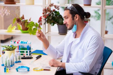 Laboratuvarda çalışan genç erkek kimyager parfümcüsü.