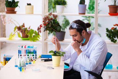 Laboratuvarda çalışan genç erkek kimyager parfümcüsü.