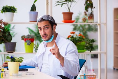 Laboratuvarda çalışan genç erkek kimyager parfümcüsü.