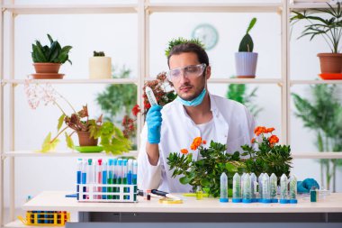 Laboratuvarda çalışan genç erkek kimyager parfümcüsü.