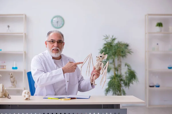 Viejo paleontólogo masculino examinando aves en el laboratorio —  Fotos de Stock