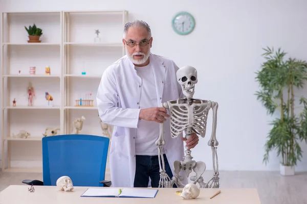 Gammal manlig anatomilärare demonstrerar mänskligt skelett — Stockfoto