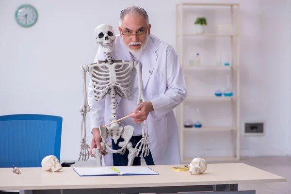 Yaşlı erkek anatomi öğretmeni insan iskeleti gösteriyor. — Stok fotoğraf