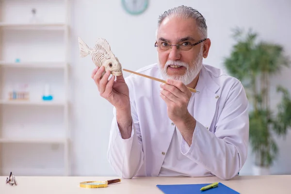 Старий смішний вчитель чоловічої зоології демонструє скелет риби — стокове фото