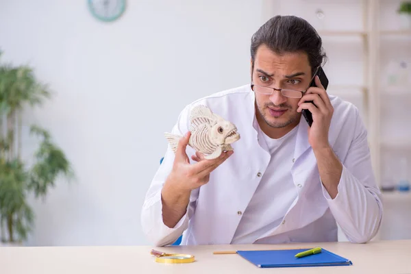 Young male zoologist student studying fish skeleton