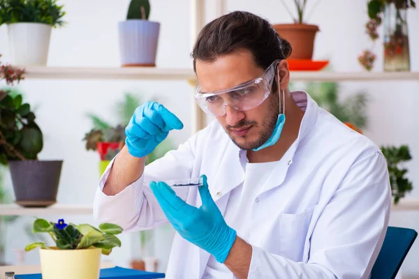 Jeune homme chimiste parfumeur travaillant dans le laboratoire — Photo