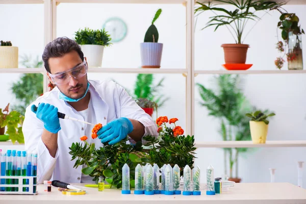 Jeune homme chimiste parfumeur travaillant dans le laboratoire — Photo
