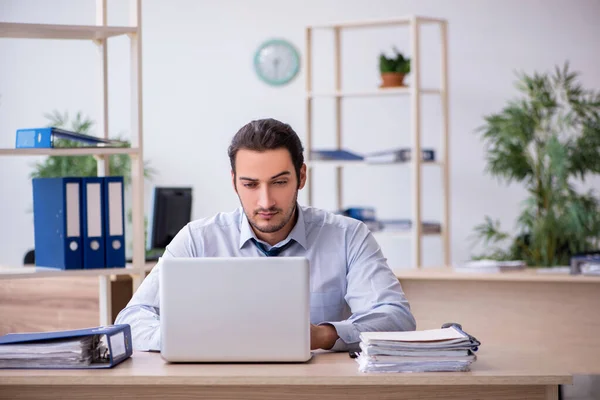 Junge männliche Buchhalterin arbeitet im Büro — Stockfoto