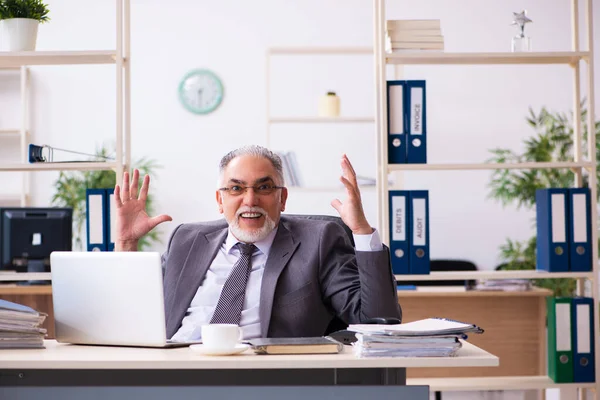 Oude mannelijke werknemer die op kantoor werkt — Stockfoto