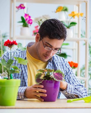 Çiçekçide çalışan genç bir adam.