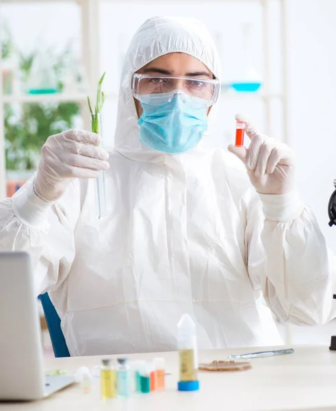 Bioquímico masculino trabalhando no laboratório em plantas — Fotografia de Stock