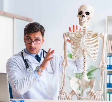 İskeleti beyaz olan Yong erkek doktoru.