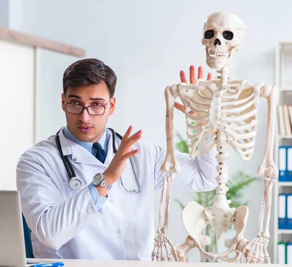 Yong médico masculino con esqueleto aislado en blanco — Foto de Stock