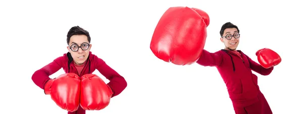 Grappige bokser geïsoleerd op wit — Stockfoto
